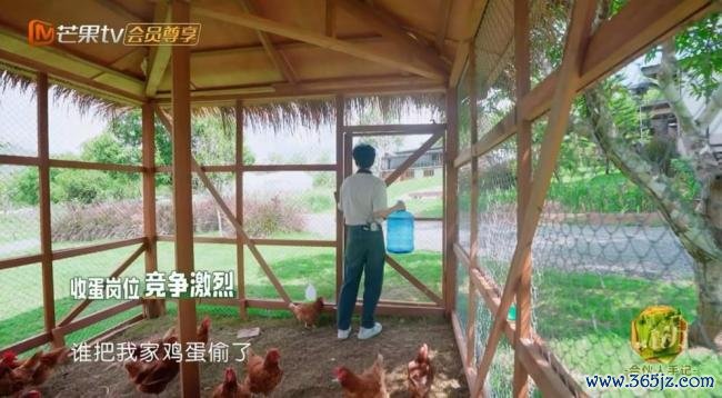 王俊凯突击检查小情侣 鸡舍偷蛋谜案引发笑点