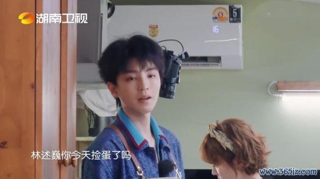 王俊凯突击检查小情侣 鸡舍偷蛋谜案引发笑点