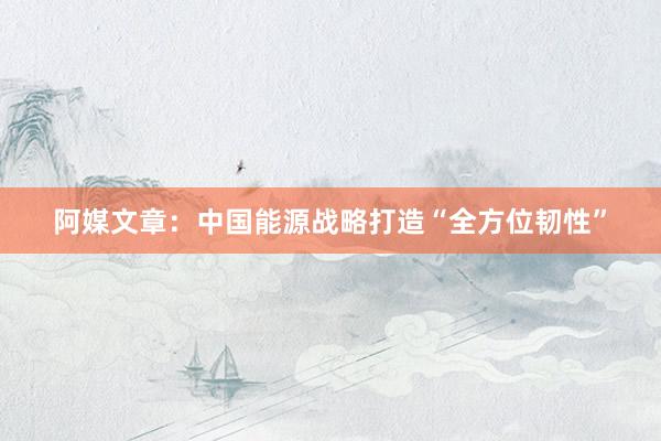阿媒文章：中国能源战略打造“全方位韧性”